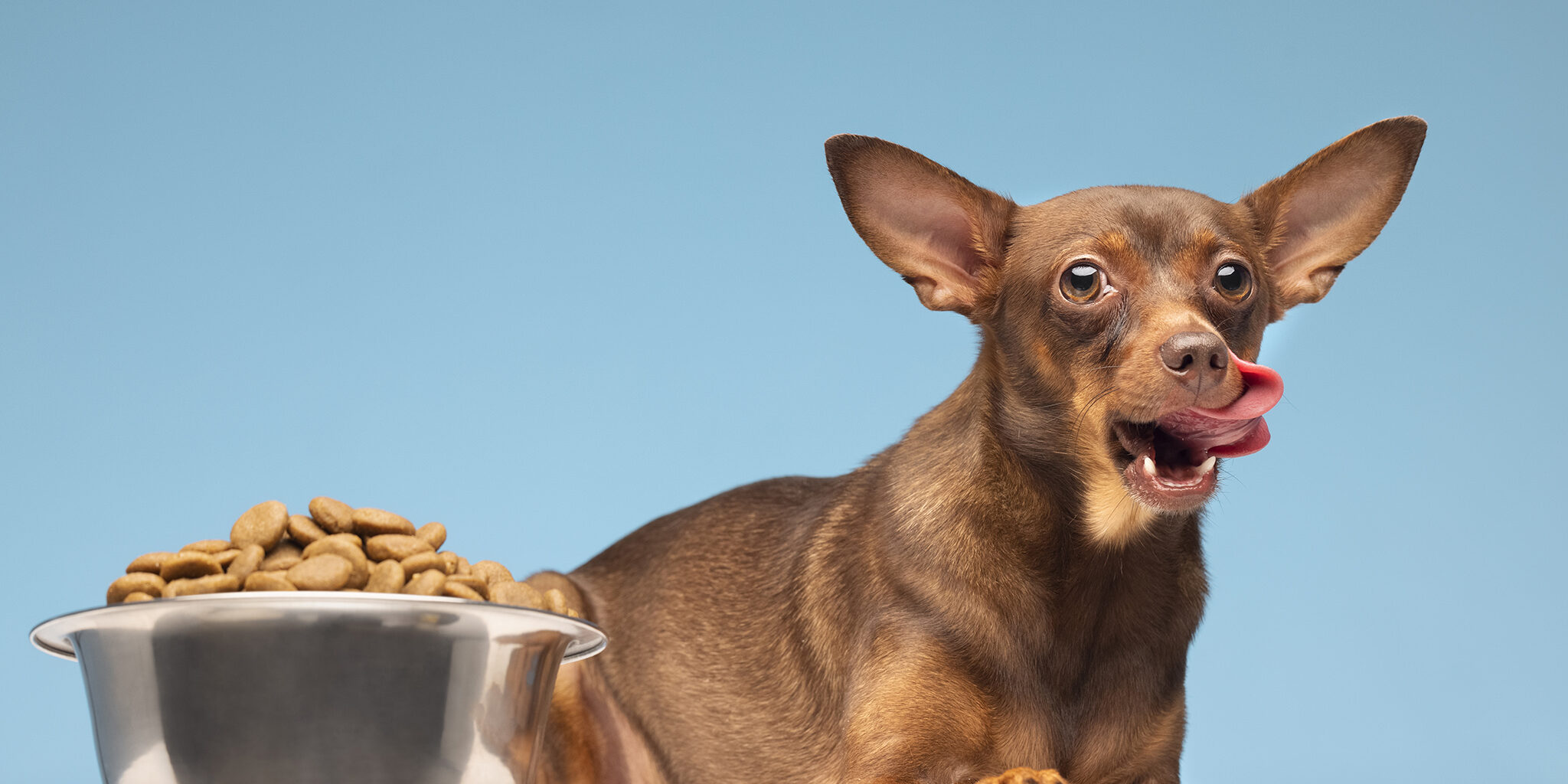 5-small-breed-dog-food-reduces-tear-stains